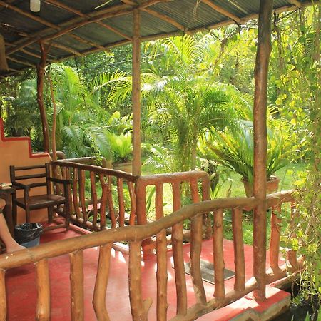 Sigiriya Nature View Home Stay Buitenkant foto
