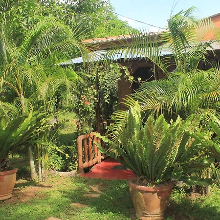 Sigiriya Nature View Home Stay Buitenkant foto