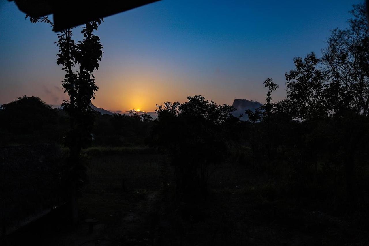 Sigiriya Nature View Home Stay Buitenkant foto