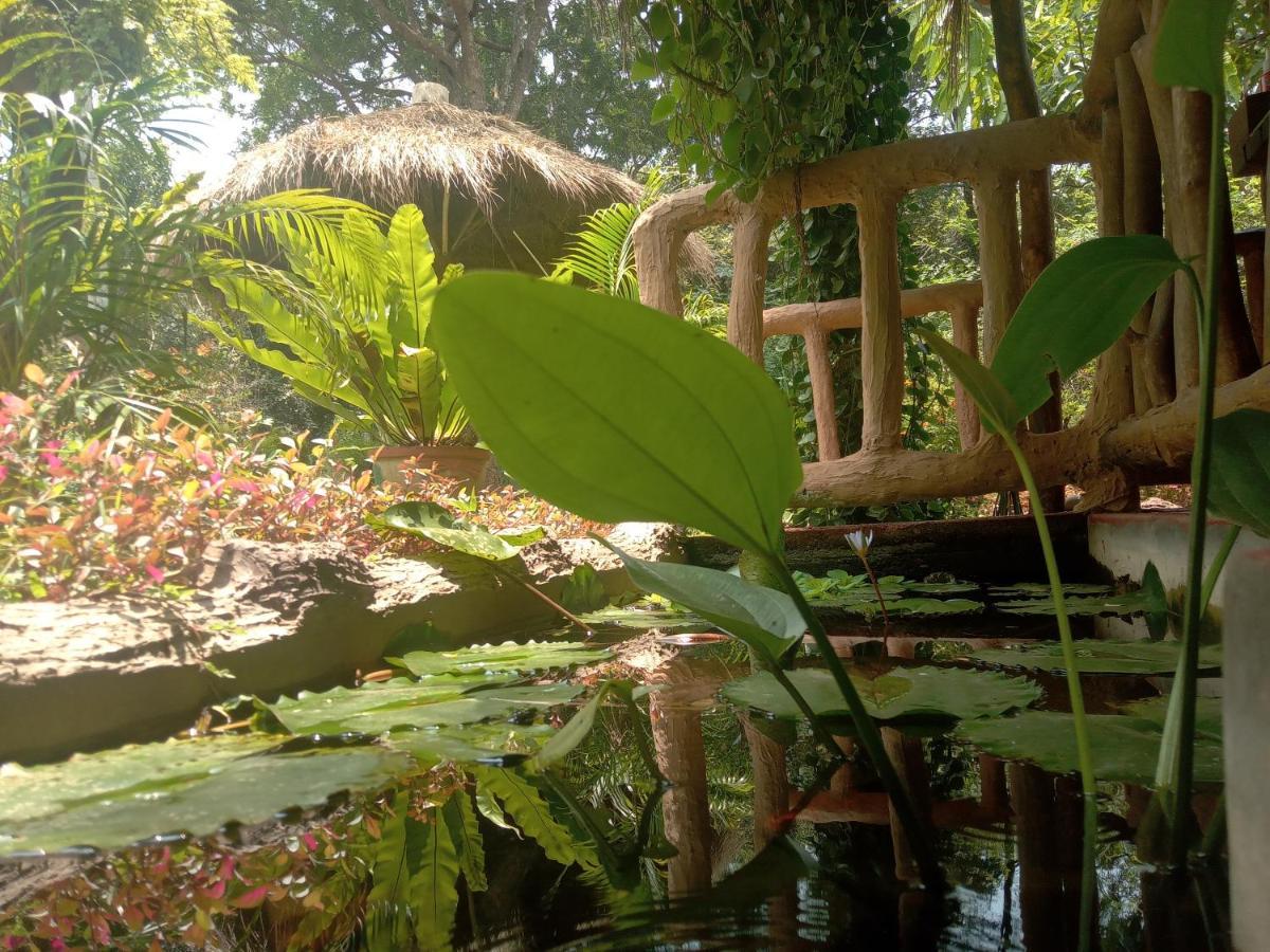 Sigiriya Nature View Home Stay Buitenkant foto