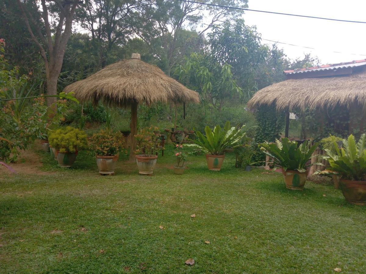 Sigiriya Nature View Home Stay Buitenkant foto