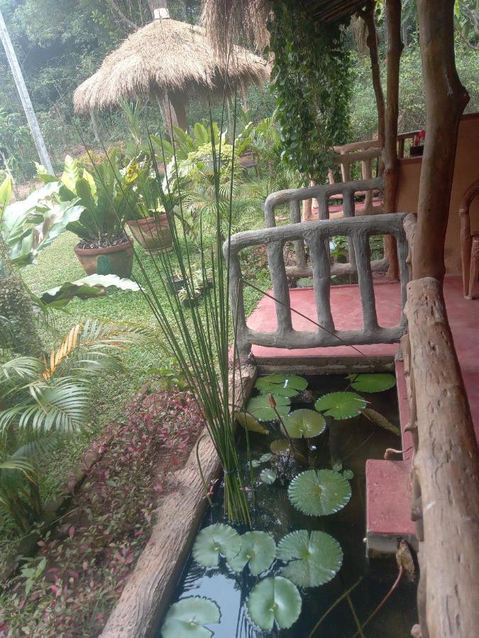 Sigiriya Nature View Home Stay Buitenkant foto