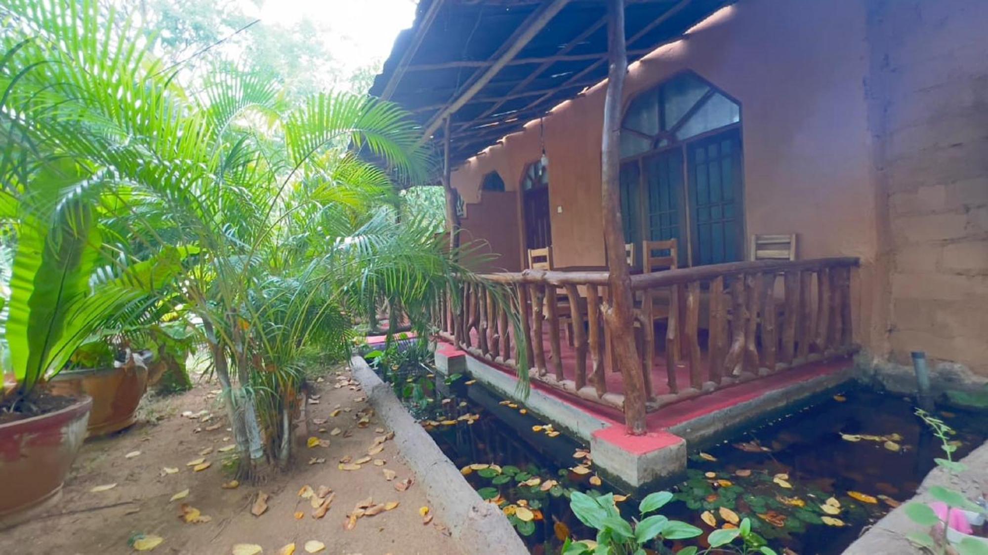 Sigiriya Nature View Home Stay Buitenkant foto