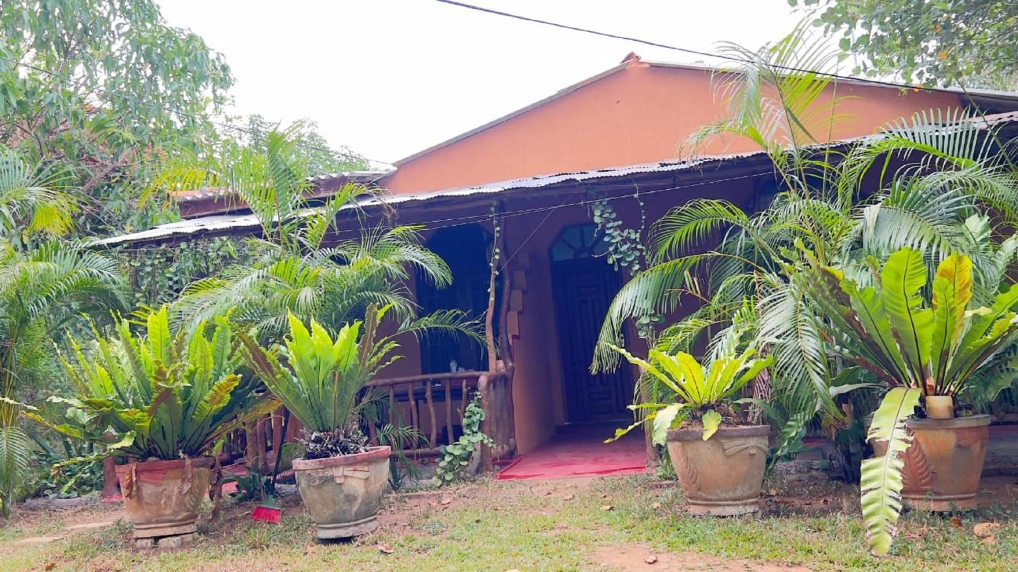 Sigiriya Nature View Home Stay Buitenkant foto