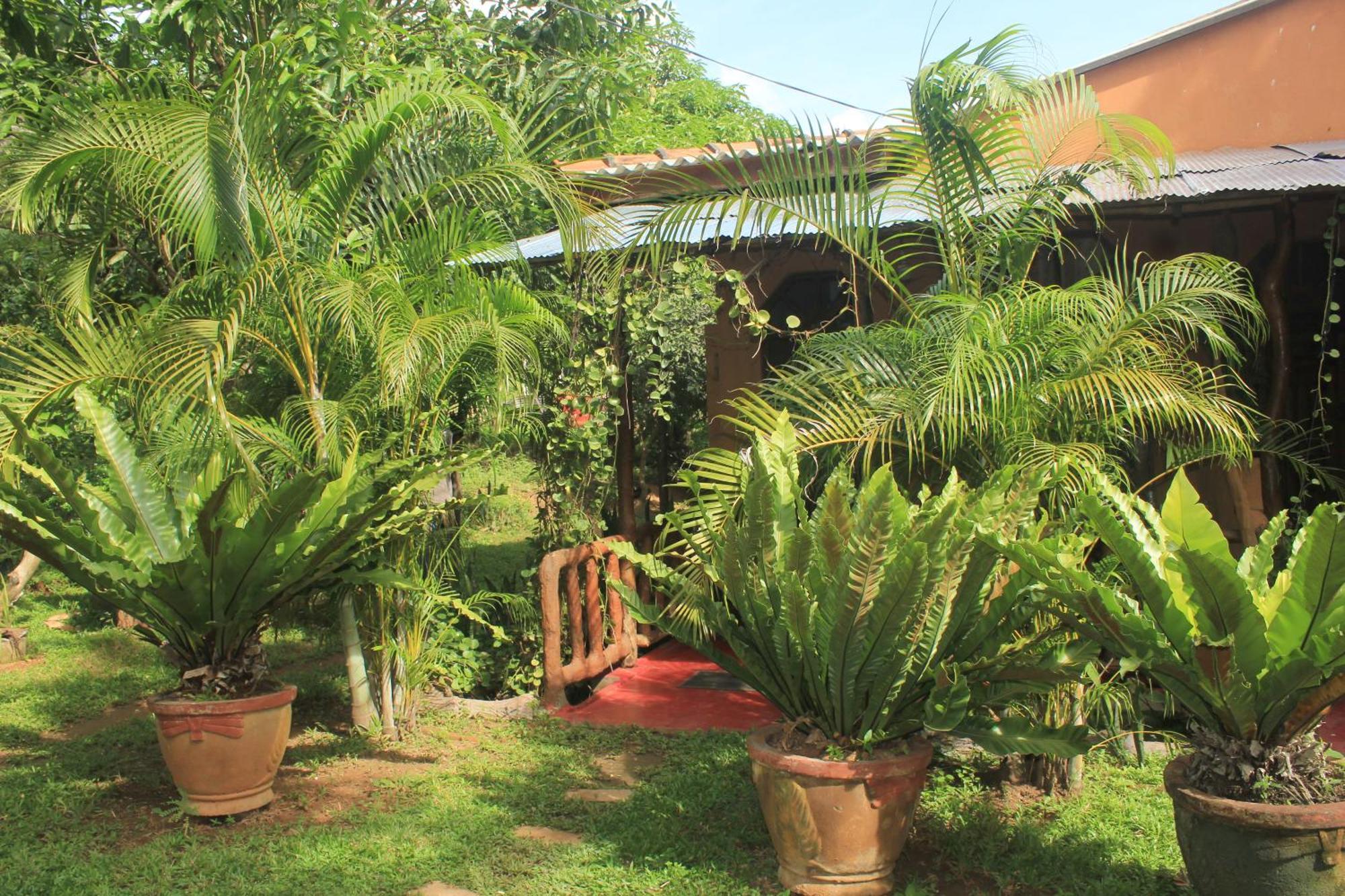 Sigiriya Nature View Home Stay Buitenkant foto