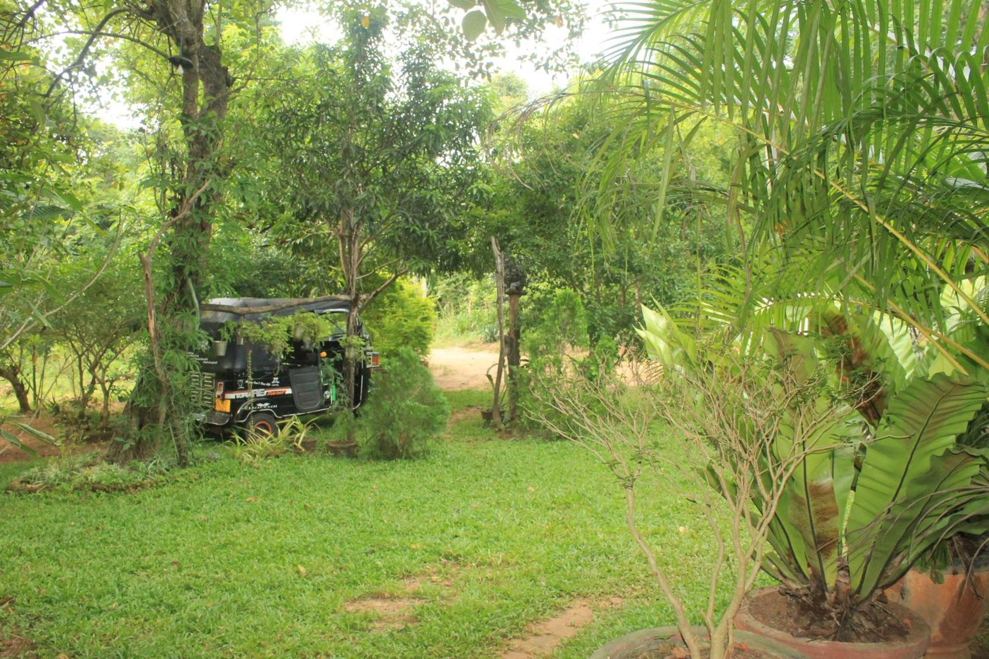 Sigiriya Nature View Home Stay Buitenkant foto